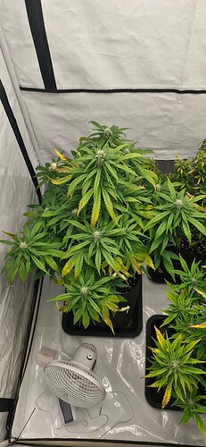 Growreport Bild 2