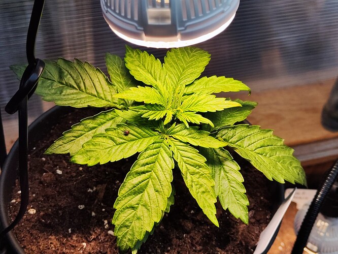 Growreport Bild 9