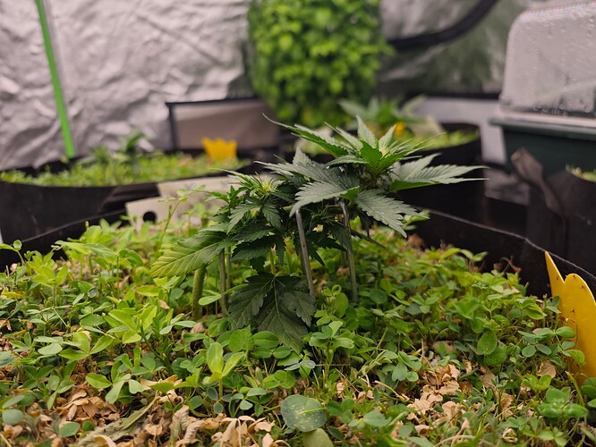 Growreport Bild 20