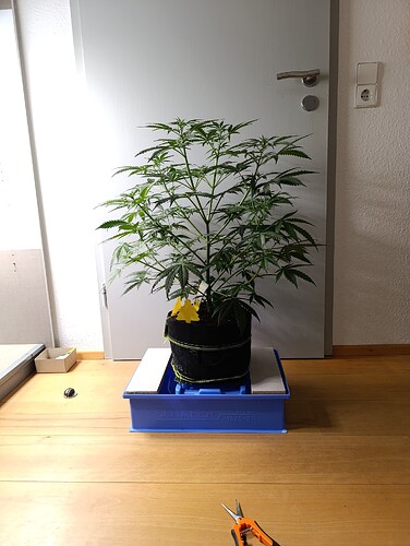 Growreport Bild 27