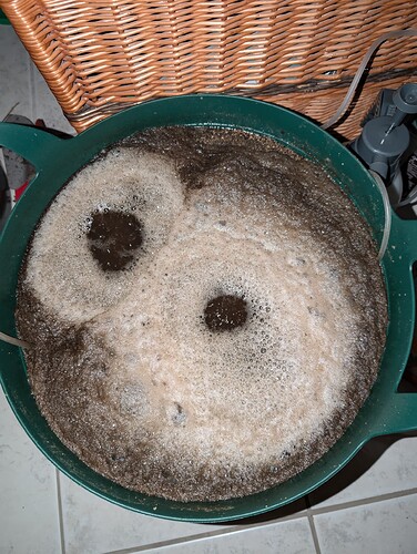 Growreport Bild 6