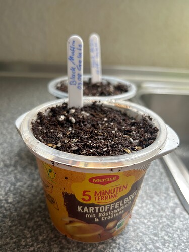Growreport Bild 95
