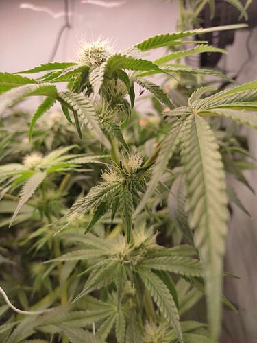 Growreport Bild 15