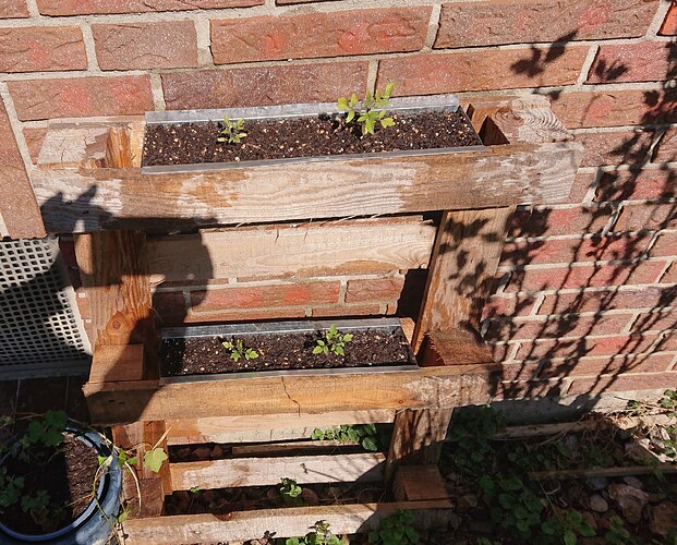 Growreport Bild 24