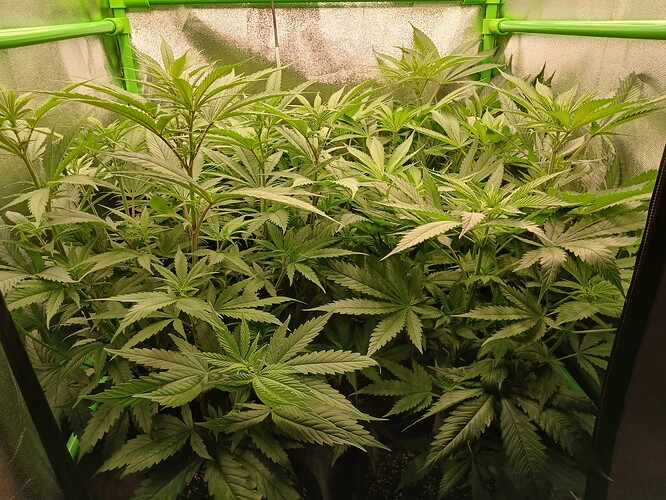 Growreport Bild 5
