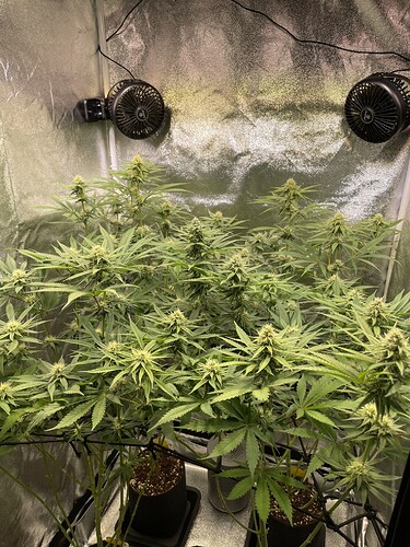 Growreport Bild 9