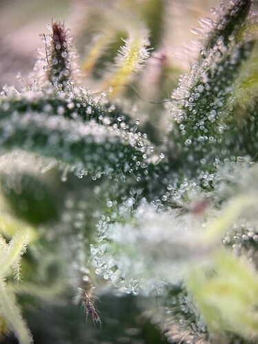 Growreport Bild 22