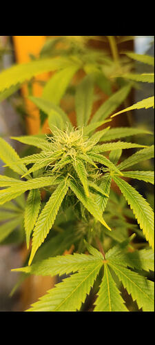 Screenshot_2026-02-22-19-59-47-375_com.miui.gallery