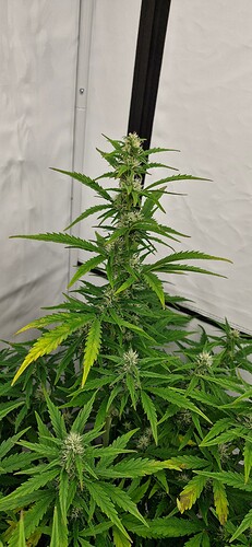 Growreport Bild 8