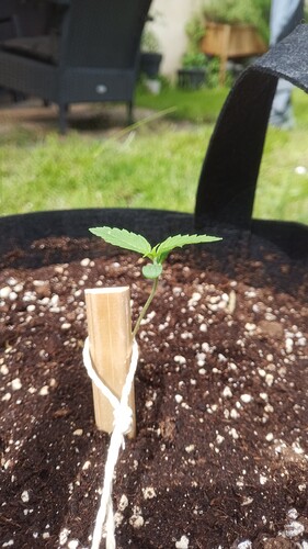 Growreport Bild 8