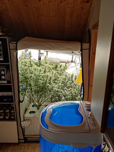 Growreport Bild 1