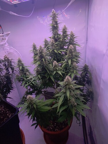 Growreport Bild 16