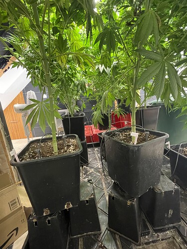 Growreport Bild 21