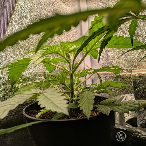 Growreport Bild 24