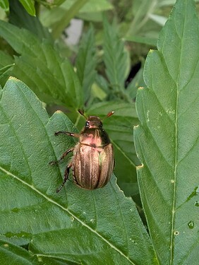 PXL_20250622_150047944