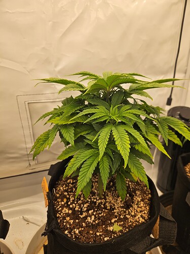 Growreport Bild 23