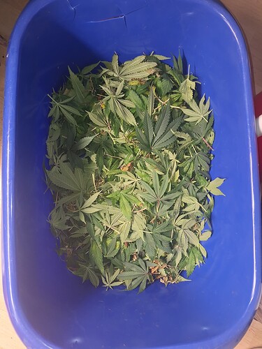 Growreport Bild 11