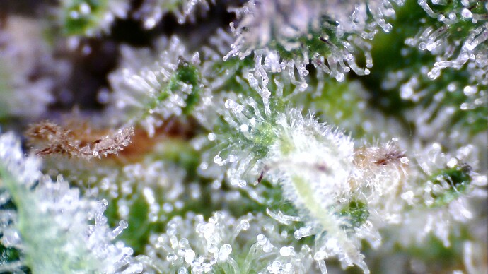 WIN_20241101_08_54_46_Pro