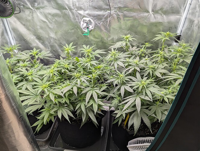 PXL_20250710_180827960