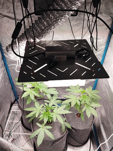 Growreport Bild 7