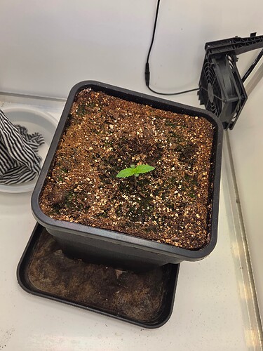 Growreport Bild 24
