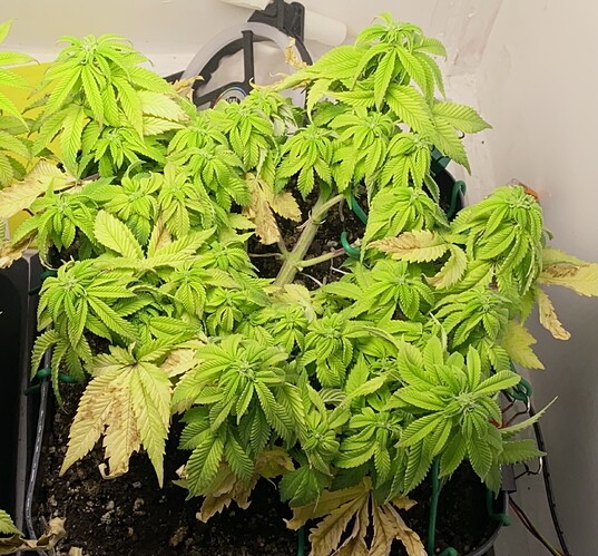 Growreport Bild 18