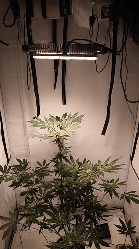 Growreport Bild 5