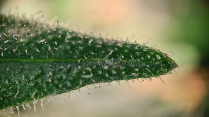 Growreport Bild 21