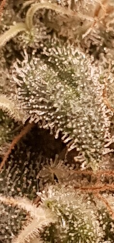 Growreport Bild 10