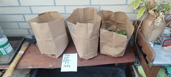 Growreport Bild 2
