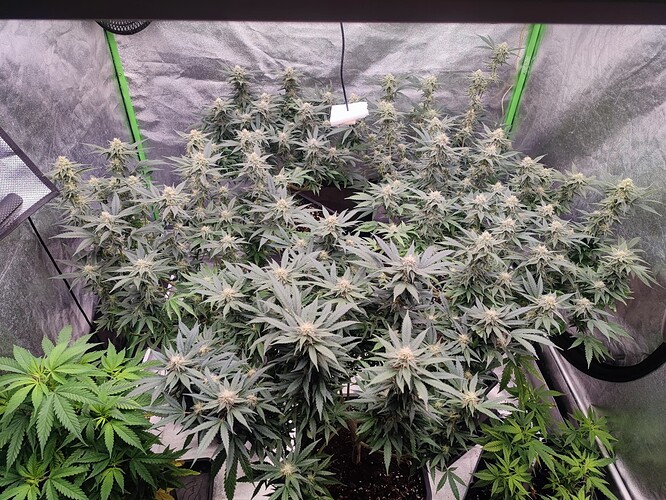 Growreport Bild 18