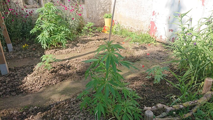 Growreport Bild 42