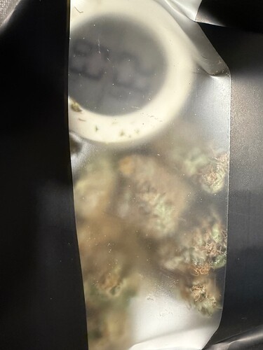 Growreport Bild 5
