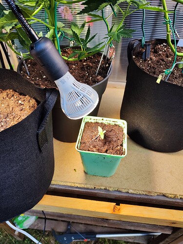 Growreport Bild 14