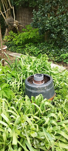 IMG_20250421_154034