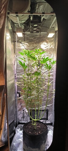 Growreport Bild 7