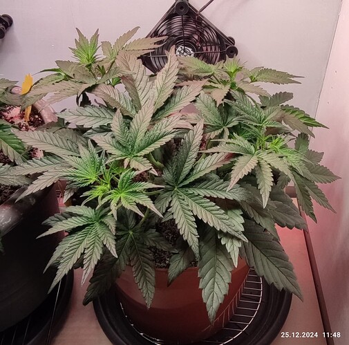 Growreport Bild 7