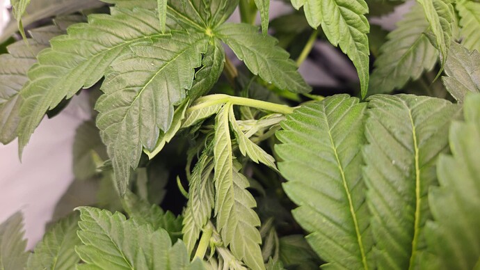 20250523_193903