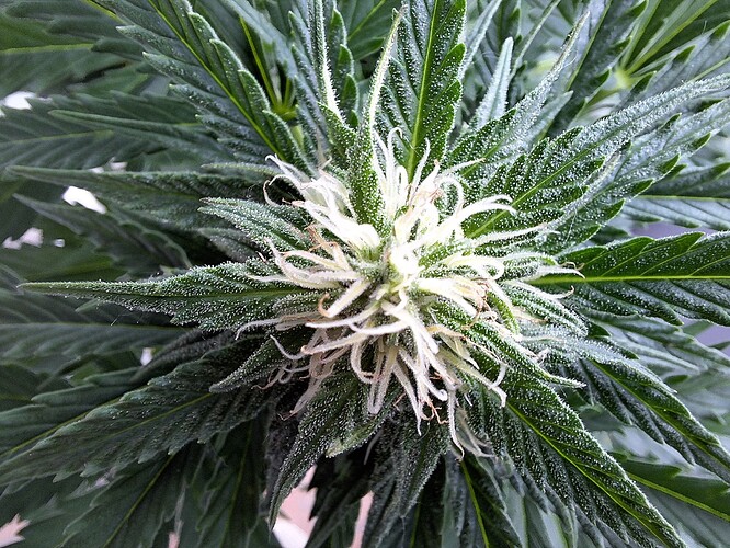 Growreport Bild 14