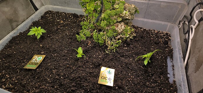 Growreport Bild 13