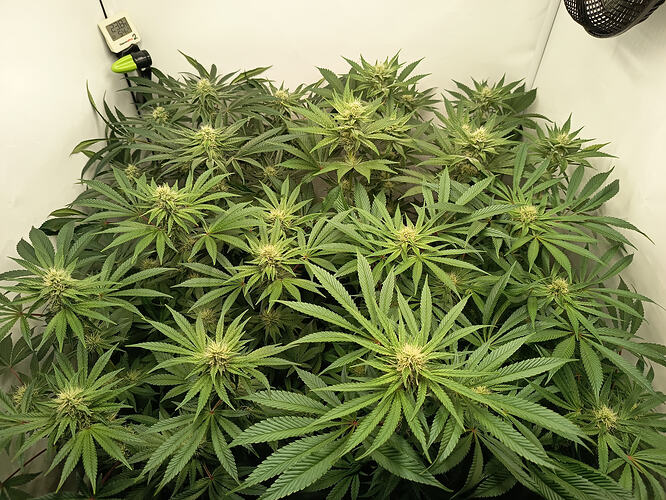 Growreport Bild 23