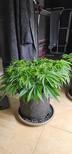 Growreport Bild 28