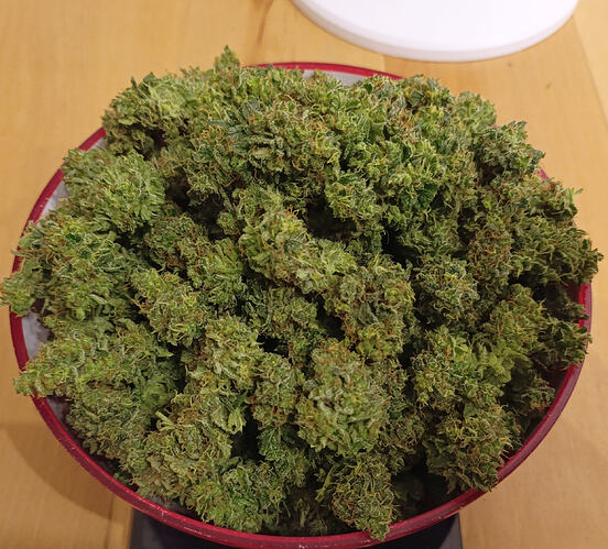 Growreport Bild 6