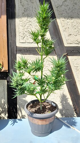 Growreport Bild 5
