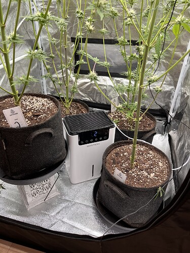 Growreport Bild 6
