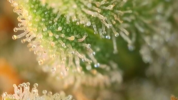 Growreport Bild 22