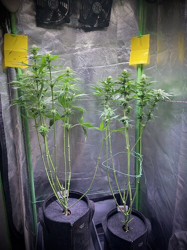 Growreport Bild 8