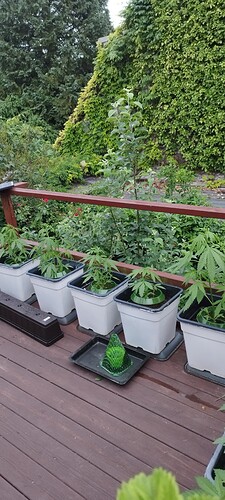Growreport Bild 10