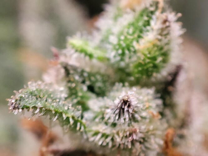 Growreport Bild 24