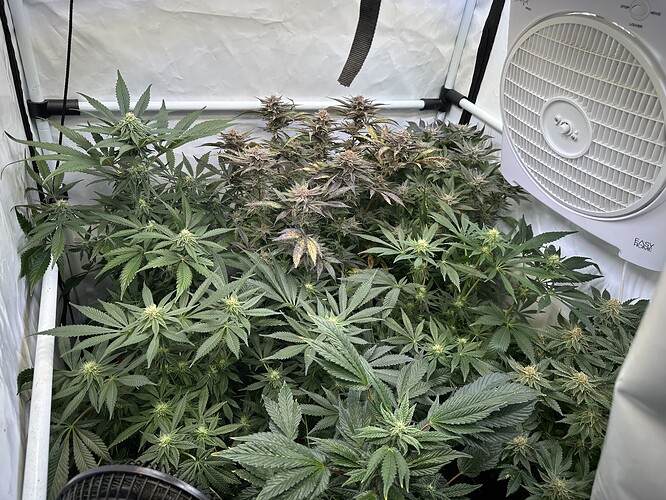 Growreport Bild 15